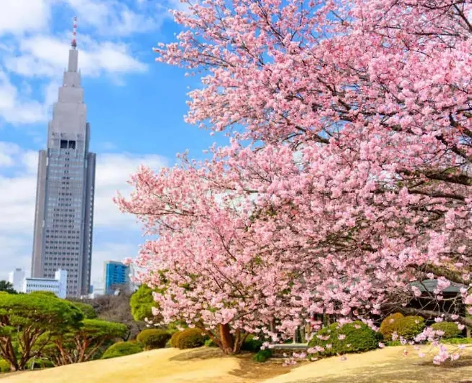 43新宿商圈 新宿御苑旁-Shinjuku Area Near Park Tokyo Apartment